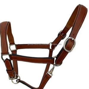 Licou en cuir véritable à double couture avec rembourrage de vache ultra doux et anneau à boucle en laiton nickelé robuste - Product Image 4