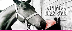 動物の舐め塩ブロック鹿のアクセサリーパラセバロス退屈なおもちゃ馬のチューバニートリートミネラルウサギOEM - Product Image 5