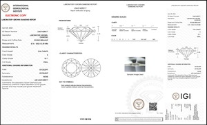 E Couleur VS1 Clarté Taille 2.56 Ct Poli Labgrown Diamant Forme Ronde HPHT-CVD Diamant Bijoux Diamants Lâches - Product Image 5