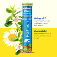 Capsules effervescentes d'Ashwagandha, complément brûle-graisses pour adultes, comprimés minceur au cidre de pomme, poudre, non destiné aux femmes enceintes