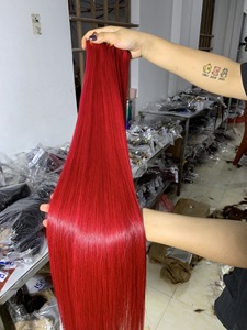 Meilleure vente extensions de cheveux vietnamiennes à double trame droites en os, couleur teintée, avec fermeture frontale en dentelle HD du Vietnam - Product Image 6