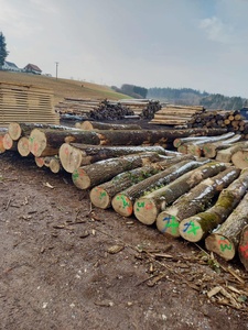 Nhật Bản tốt nhất độc đáo đẹp bạch đàn Vòng Hinoki gỗ bản ghi <span class=keywords><strong>Cypress</strong></span> loại gỗ - Product Image 3
