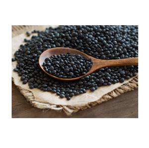 Distribuidor al por mayor y proveedor de lentejas negras beluga orgánicas de la mejor calidad, el mejor precio de fábrica, compra a granel en línea - Product Image 4