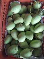 Vietnamese fabrikant van gedroogde mango (FD) in plakjes, levert hoogwaardige private label service voor exportpartners in de snackvoedingssector.