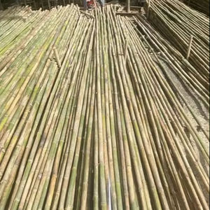 Pôles en bambou robustes et durables pour les détaillants, les grossistes et les distributeurs à la recherche d'options d'approvisionnement en vrac fiables - Product Image 2