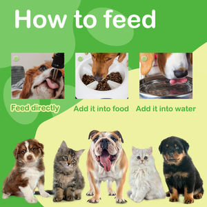 Suplemento de L-ysine para gatos, soporte inmunológico felino, estornudo respiratorio, secreción nasal, función ocular, <span class=keywords><strong>gotas</strong></span> antibióticas naturales para gatos, asado - Product Image 5