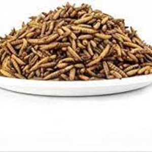 Venta a granel sabor Original alimentación Animal 100% microondas soldado negro mosca BSFL larvas secas - Product Image 1