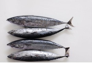 Thon personnalisé de haute qualité, usine de thon glacé de bonne qualité, vente en gros, thon de fruits de mer abordable - Product Image 5