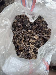 Champignon noir séché entier de petite et grande taille en gros prix bon marché du Vietnam/champignon d'oreille en bois séché bon prix exportation - Product Image 4