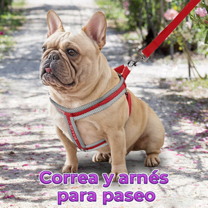 Pettorina di Lusso Semplice e Traspirante in Nylon e PU Imbottita per Cani e Gatti, Motivo Floreale, Taglia XL - Product Image 5