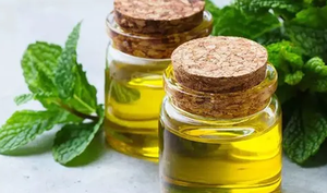 Huile de menthe naturelle de qualité supérieure | Huile essentielle 100% pure pour l'alimentation, les cosmétiques et l'aromathérapie | Fourniture en gros au Vietnam - Product Image 5