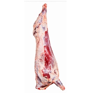 Frozen <b>Beef</b> Meat Supplier High Quality <b>Beef</b> Cuts Global Export Supply - Product Image 1