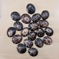 Cangkang Kerang Tradisional untuk Menyusui, Pelindung Puting dan Perawatan Payudara