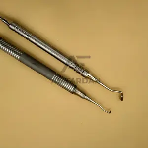 Toptan ucuz fiyat diş Implant Scalers Curettes paslanmaz çelik gümüş ölçekleme İpucu diş kazıyıcı Implant ölçekleme setleri