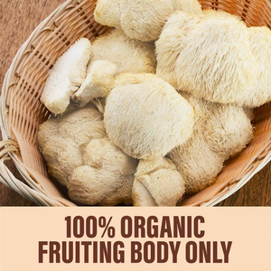 Poudre de champignon crinière de lion 100 % pure de qualité supérieure OEM/ODM, poudre naturelle pour le corps, pour le soutien du cerveau et la santé immunitaire - Product Image 6