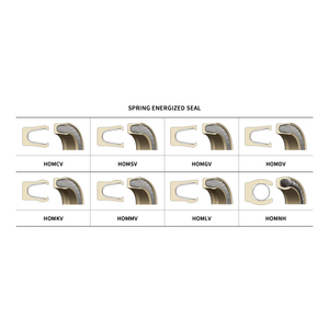 Joint de friction joint d'arbre Flexible Corée du Sud Hansung Tech joint à lèvre boîtier en métal/solide/ressort sous tension - Product Image 4