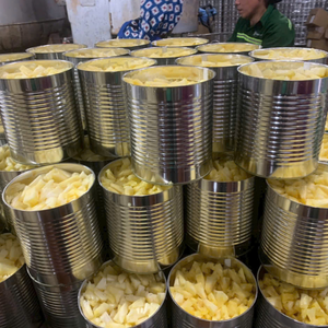 Ananas en vrac en sirop, fruits tropicaux en conserve, fournisseur du Vietnam - Product Image 3