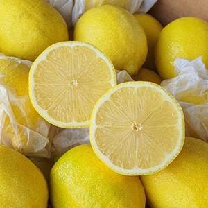 Limones Amarillos de Alta Calidad, Nuevos en Existencia |   Exportador de Limones Frescos de Sudáfrica - Product Image 1