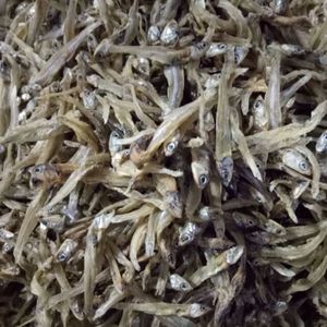 Pescado marino seco a granel | La exportación sostenible de anchoas secas es fresca, deliciosa y naturalmente segura - Product Image 2