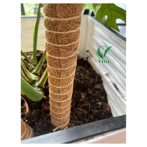 Bâton de soutien en fibre de coco durable fabriqué au Vietnam pour le jardinage et la rétention d'humidité des plantes - Product Image 4