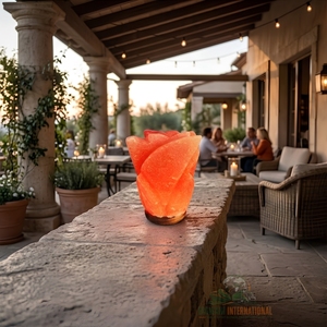 Lampe de nuit en sel rose de l'Himalaya naturel sculptée à la main, avec base en bois et variateur d'intensité, pour chambre, spa, bien-être et décoration - Product Image 5