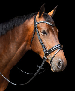 Bride anatomique en cuir verni noir - Product Image 5