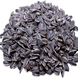 Semillas de Girasol con Rayas para Consumo Humano - Product Image 3