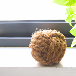 Obral 2024! Mainan kunyah hewan peliharaan tali dari sekam kelapa membuat membersihkan gigi hewan peliharaan Anda, mengurangi Stress - WINVNINT - Product Image 2