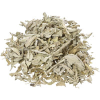 Extrait Herbal de Feuilles de Sauge Officinale CareQue Salvia Tulsi Grade A+ Feuilles Brutes Séchées Extraction par Solvant en Tambour