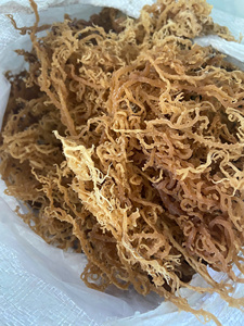 สาหร่ายโกลเด้นซีมอส สำหรับใช้ในเชิงพาณิชย์ในอาหาร เครื่องดื่ม และเครื่องสำอาง - Product Image 3
