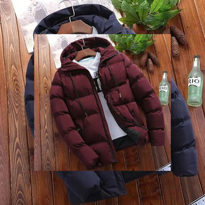 Chaqueta Acolchada de Primavera para Hombre, Cuello Alto, Acolchado, con Cierre - Product Image 3