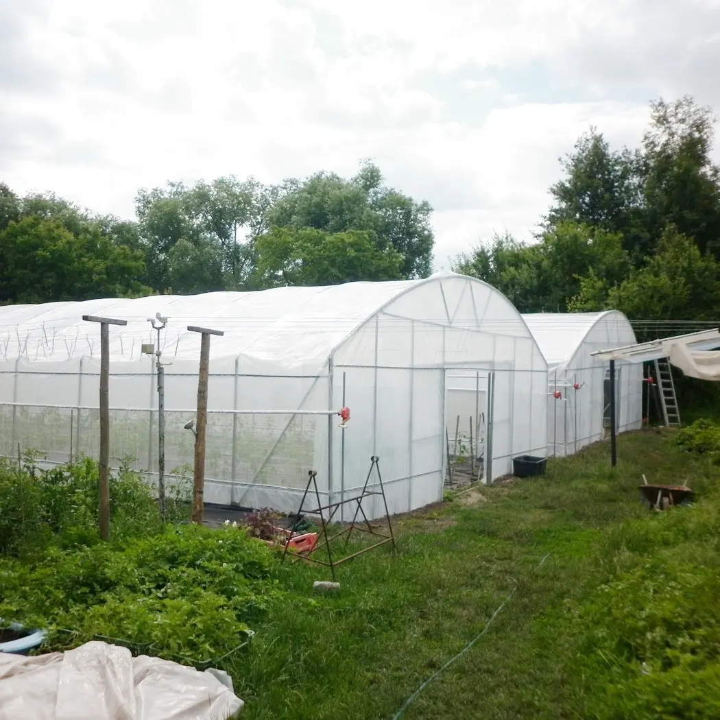トマトインベルナデロアグリコラ用の赤身農業温室