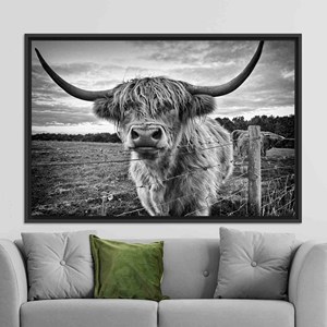 Highland Cow Canvas Wall Art: Longhorn Cattle, Farmhouse Decor,BLACK <b>FRAMED</b> CANVAS - Product Image 1