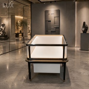 Vitrine de présentation de bijoux en verre robuste sur mesure LUX, comptoir de présentation, vitrine de luxe pour bijoux - Product Image 3