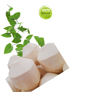 ลวดเย็บกะลามะพร้าวปอกเปลือกเพชรสดในอาหารมังสวิรัติ - Product Image 6