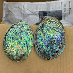 Coquille d'ormeau du Vietnam, matériau naturel pour l'art créatif, le bricolage, la fabrication de bijoux et la décoration de luxe pour la maison - Product Image 6