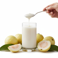 Bulk Natuurlijke Witte Guavepulp 215kg Aseptische Vatverpakking ISO/Halal/Kosher Gecertificeerd Zonder Toegevoegde Suiker Voedingsmiddelkwaliteit Fruitpulp