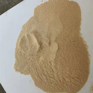 Grossiste poudre de bâtonnets de bambou poudre de bmaboo pour dents poudre concentrée naturelle silice 25g 0.88 oz ANGLE - Product Image 4