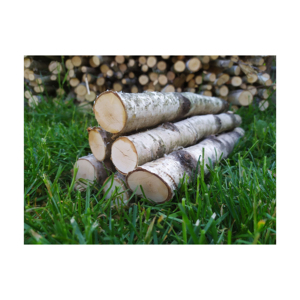 25. TOP <b>SALE</b> High Quality Beech <b>Wood</b> Timber/lumber/<b>logs</b>- 100% Natural Beech <b>Wood</b> <b>for</b> Furniture, Construction - Product Image 2