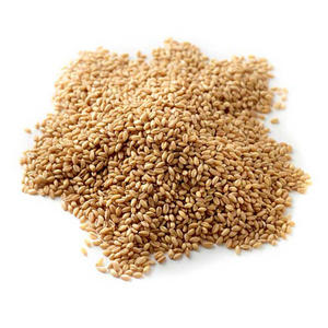 Grains de blé rouge biologique de haute qualité de haute qualité 11%-12% Protéine 99% Pureté 50kg PP Sac à vendre - Product Image 2