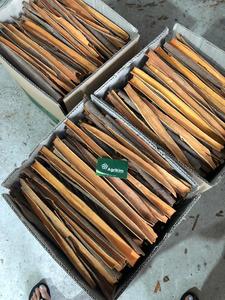 Vietnam Premium Long sticks Split Cassia Cinnamon Alto contenido de aceite a granel Venta al por mayor Exportación Calidad Especias hierba WS + 84359166896 - Product Image 5