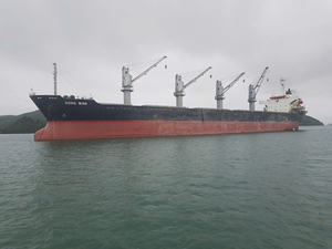 Type I clinker CPC จากโรงงานความแข็งแรงสูงเรือที่ใช้สำหรับการผลิตปูนซีเมนต์ปอร์ตแลนด์ - Product Image 3