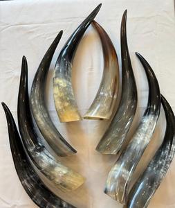 Luxury Drinking Horn With Carved Work for Beer Wine Water Ox/Buffalo Polished Horn Agate for Home Wedding Party From India - Product Image 1