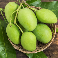 Vietnam Hoogwaardige Verse Mango - Tropisch Fruit voor Export met Groothandelsprijs