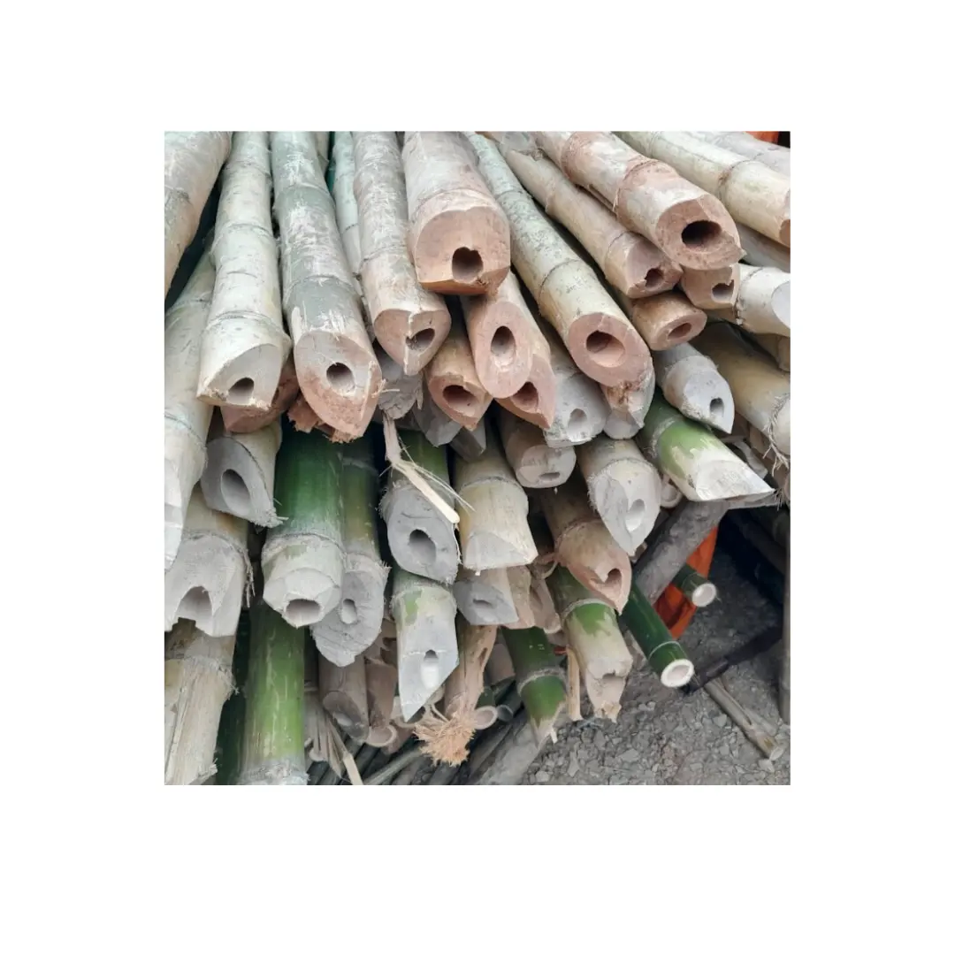 Milieuvriendelijke Bamboestokken Groothandel Grote Hoeveelheid-Top Hoge Kwaliteit Gedroogde En Massieve Bamboe Rieten Gebruik Voor De Bouw