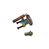 Vanne d'expansion pour conteneur frigorifique Carrier 14-01104-42 14-00244-42