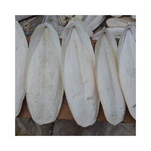 Offre spéciale Os de seiche Os de calmar de haute qualité Os de seiche séché Os de seiche 100% naturel - Product Image 1