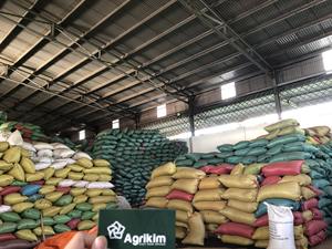 Pimienta Negra Seca Cruda Procesada AD al por Mayor de Vietnam en Forma Entera y en Polvo para Uso como Especia, Bolsa de 25 kg/pp - Product Image 6