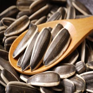 Graines de tournesol brutes à gros grains, produits neufs, vente en gros, sans déshydratant, sacs de grande capacité, en-cas à vendre - Product Image 1