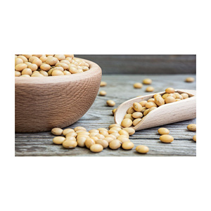 Frijoles de Soja Amarillos A LA Venta, Frijoles de Soja para las mejores tarifas del mercado - Product Image 3